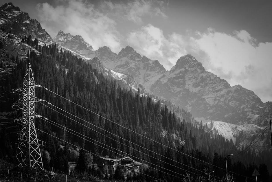 dimplex electric fireplace remote instructions