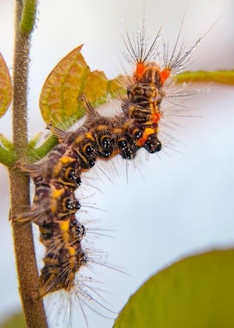 pdf the very hungry caterpillar