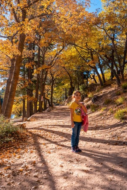 national parks travel guide kid national parks travel guide kid